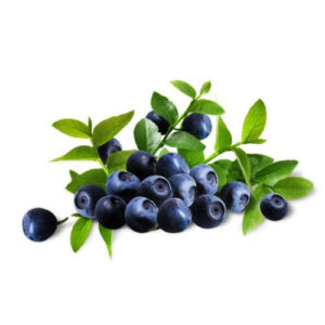 billberry extract